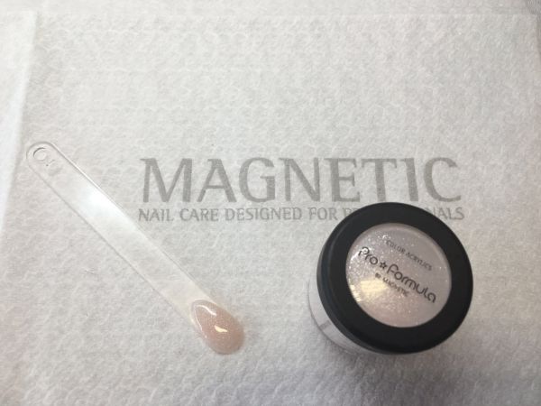 Magnetic ACRYL Sparkling Nudes SILVER 12g