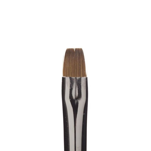 Brush Flat 8 Transparent