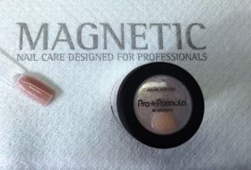Magnetic ACRYL  Sparkling Nudes GOLD 12g